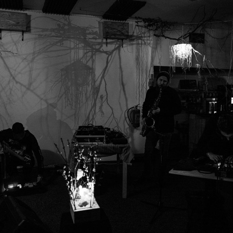 Až zem začala tát – Instalace (When the soil began to melt – Installation)