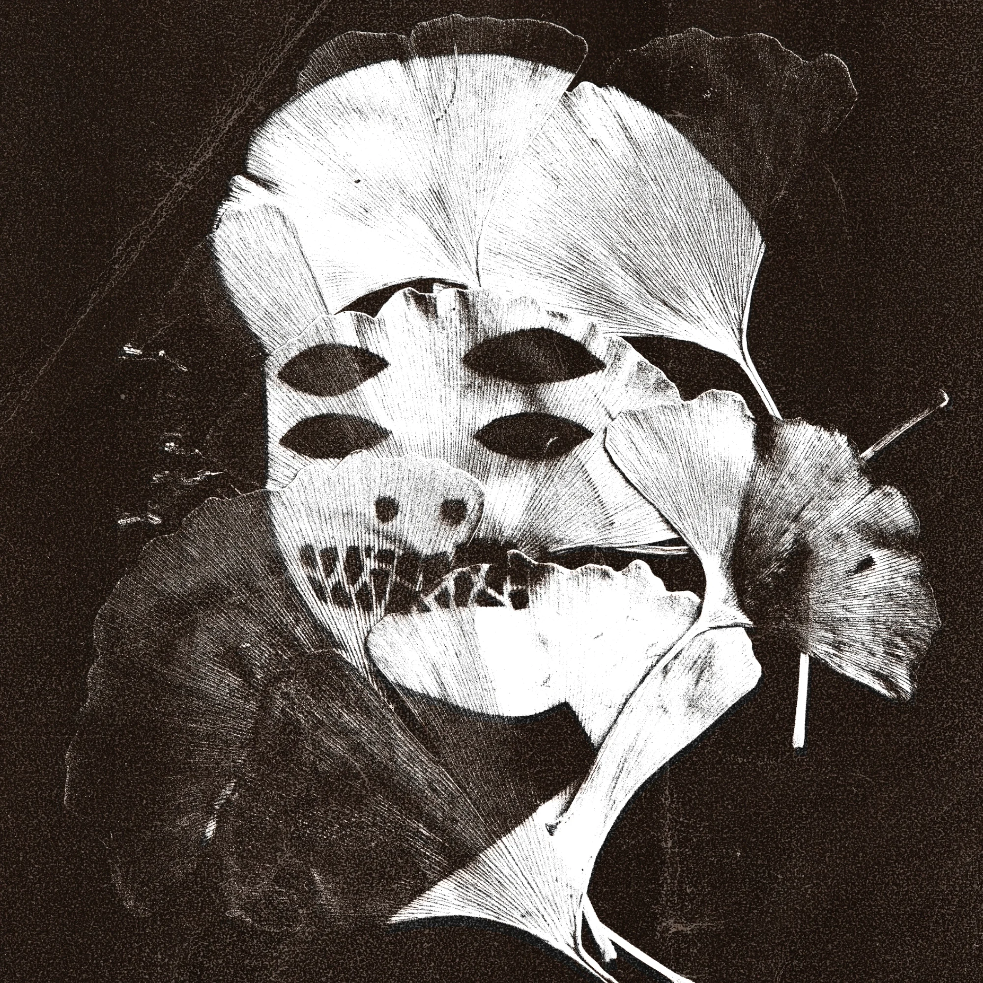 There is no island…