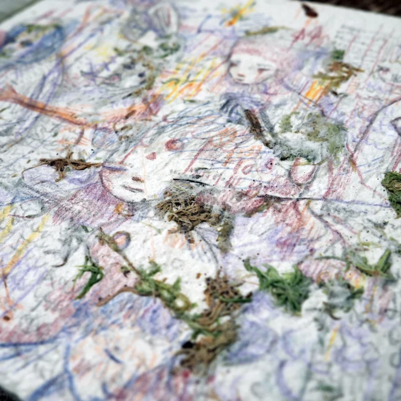 Hlas (Voice) II Artist Book