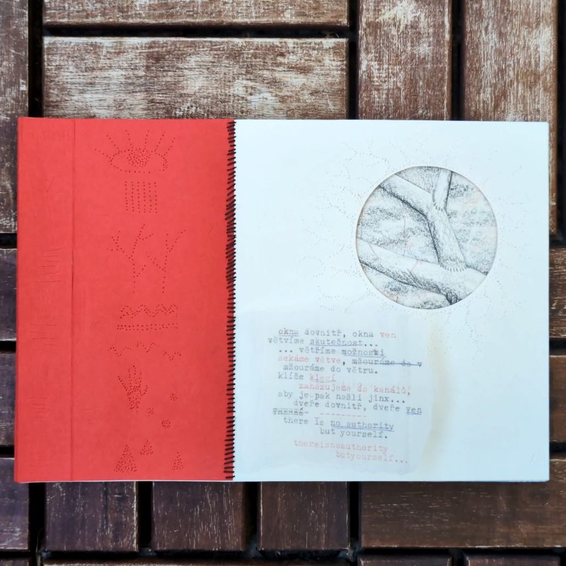 Mžourání do větru (Squinting Into The Wind) II Artist Book